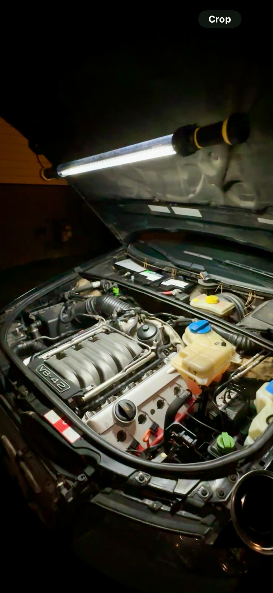 European V8 engine bay under service lighting